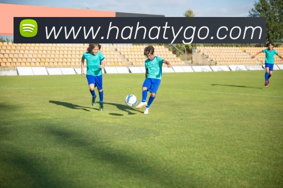 哈哈体育服务体系